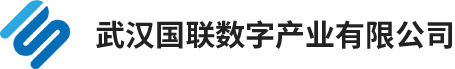 武汉国联数字产业有限公司 